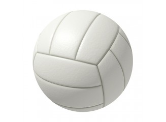 Volley Ball