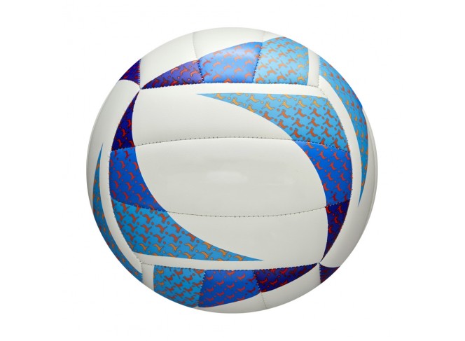 Volley Ball